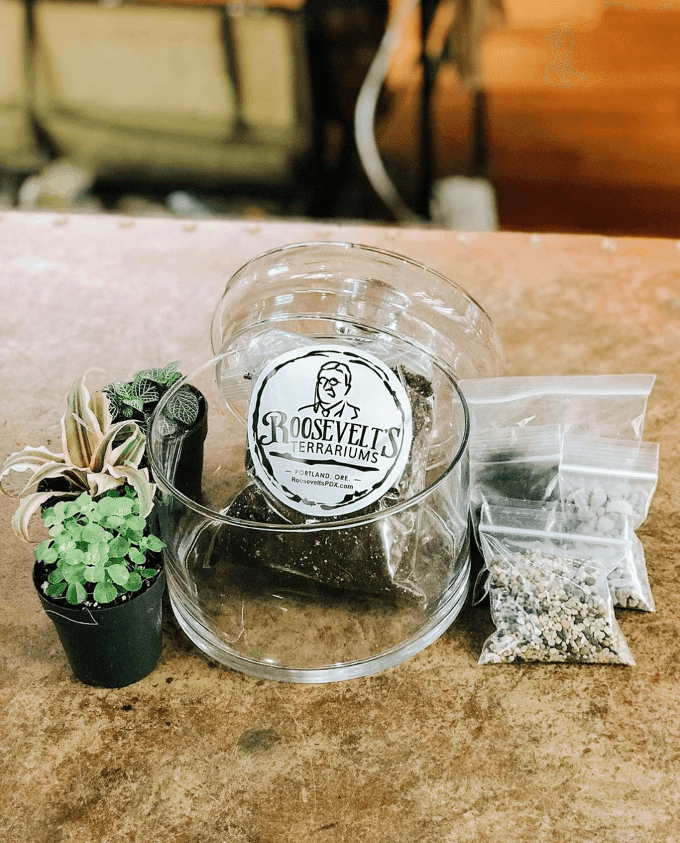 Roosevelt's Terrariums