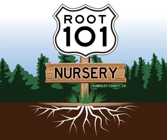 Root 101 Nursery