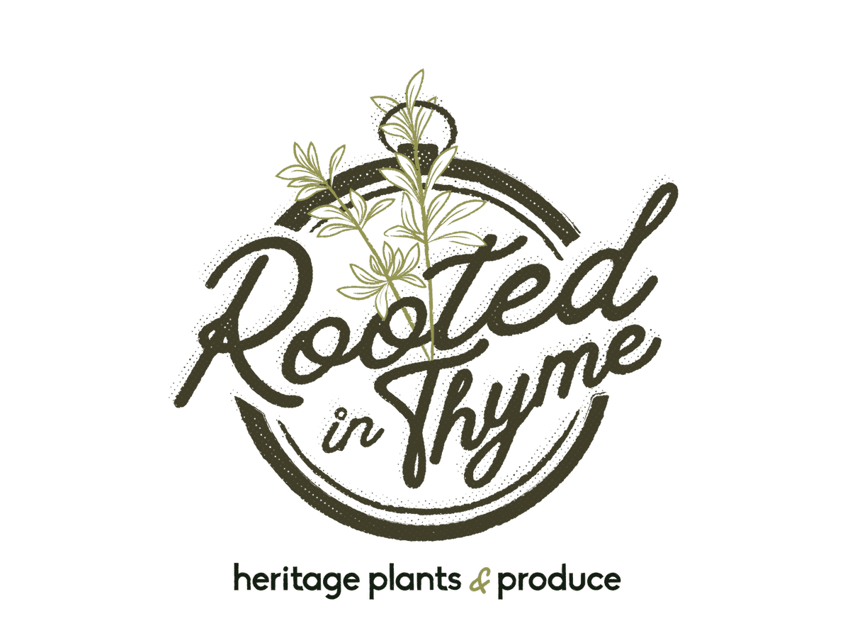 Rooted In Thyme