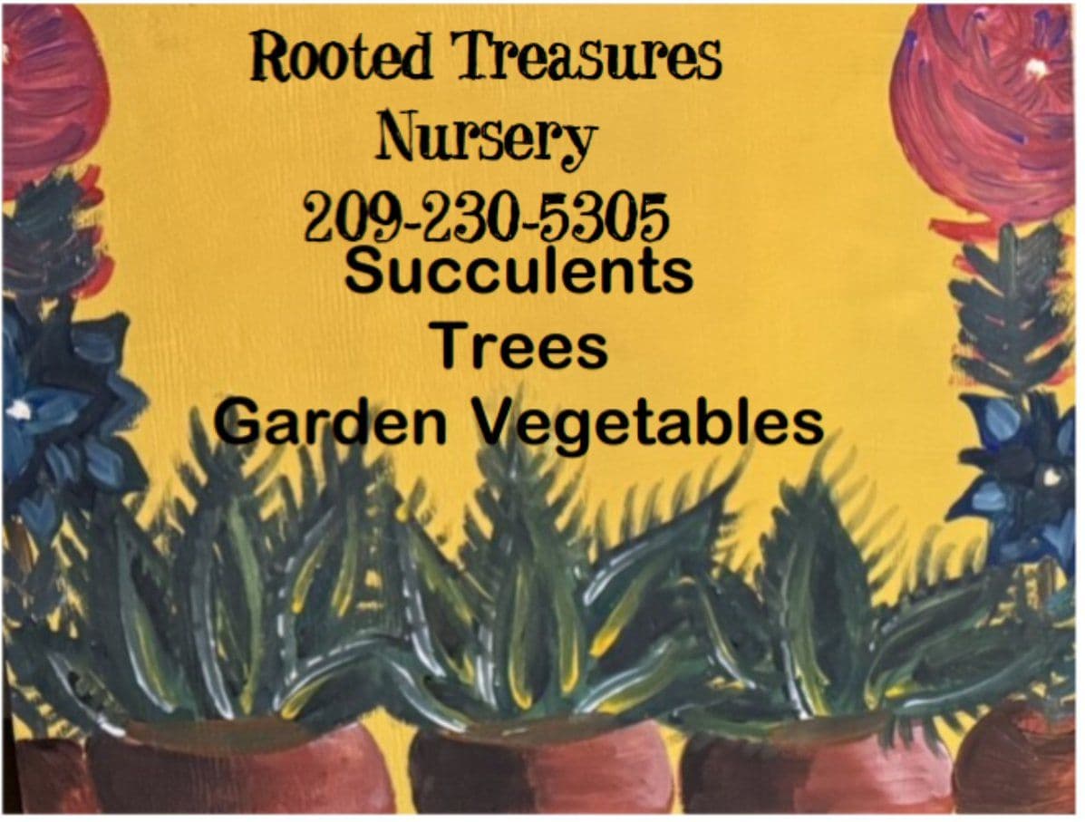 Rooted Treasures Nursery
