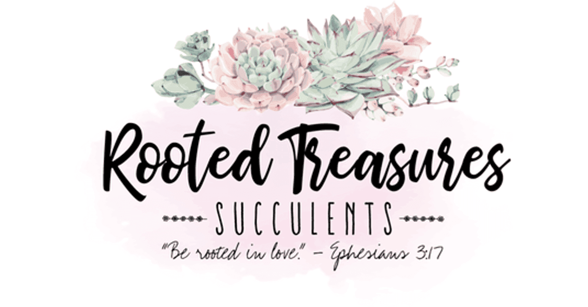 Rooted Treasures Succulents