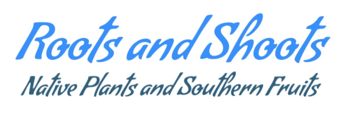 Roots and Shoots Nursery