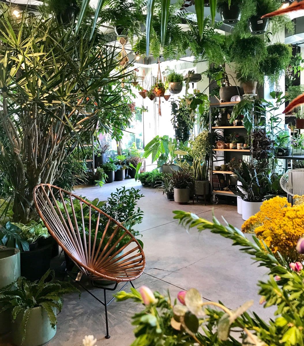 Roots and Shoots Plant Shop