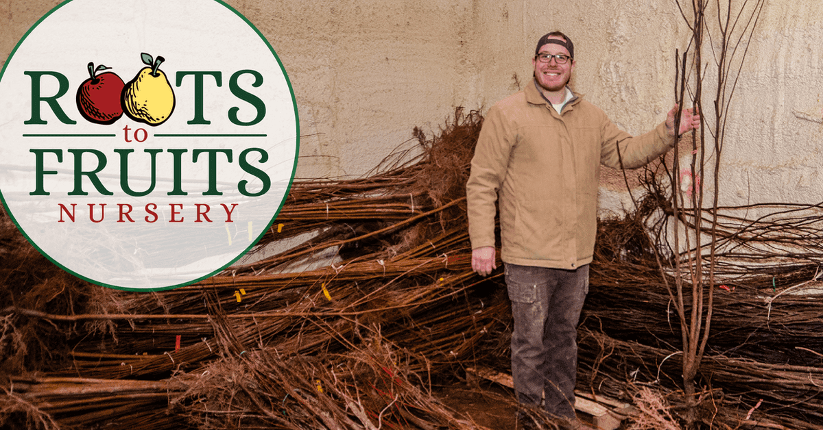 Roots To Fruits Nursery