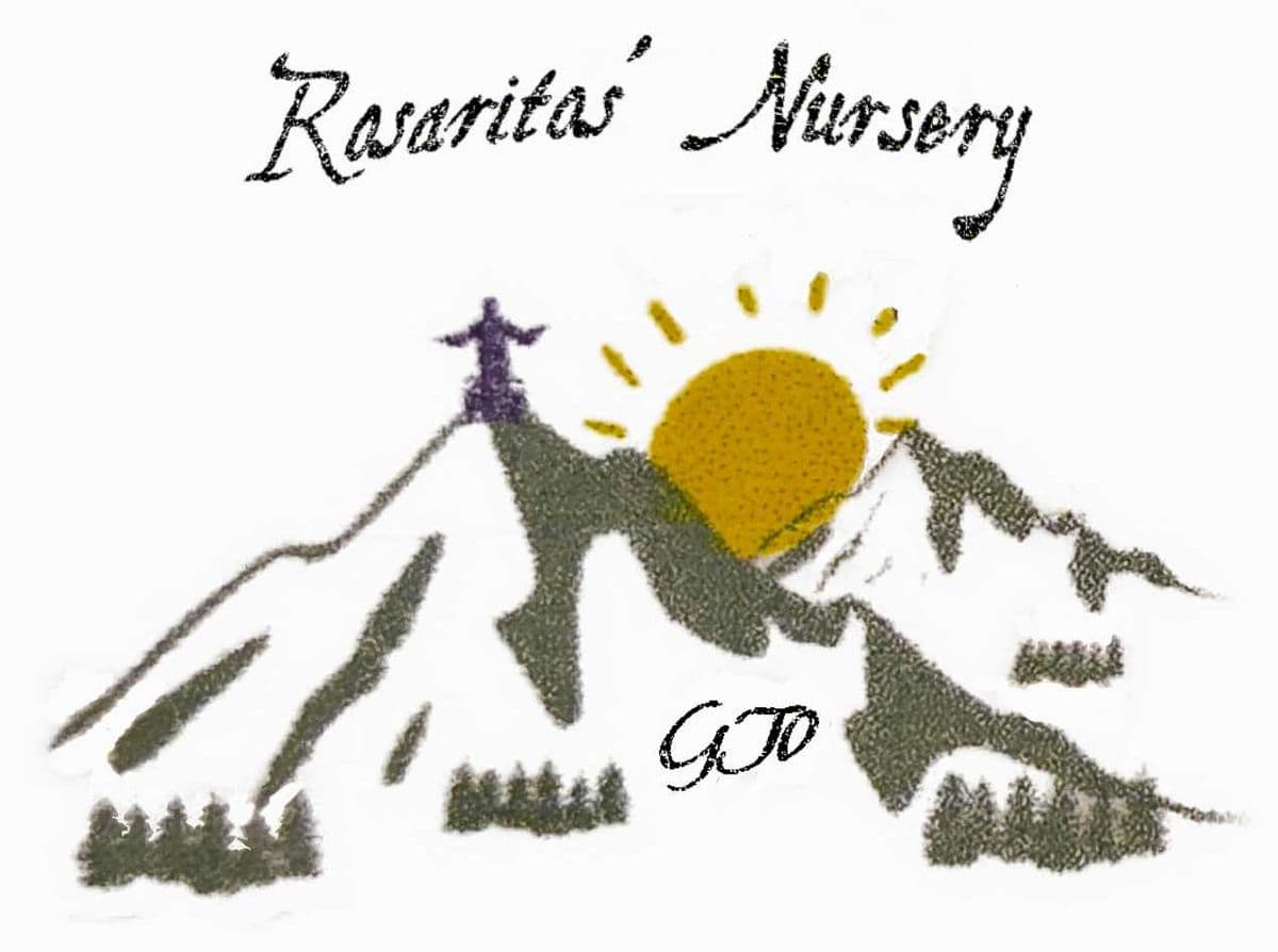 Rosaritos' Nursery