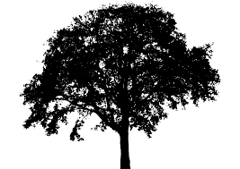 Rose Creek Nursery & Landscaping