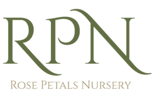 Rose Petals Nursery