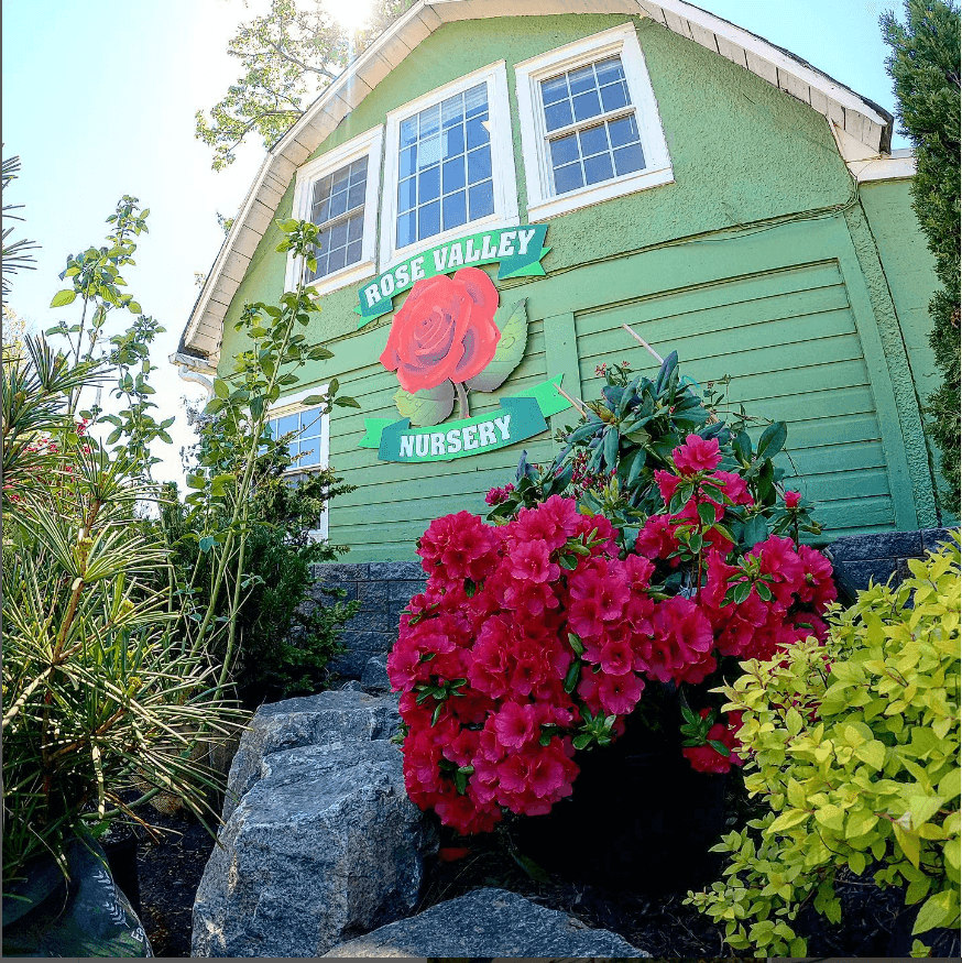 Rose Valley Nursery