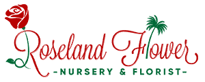 Roseland Flower