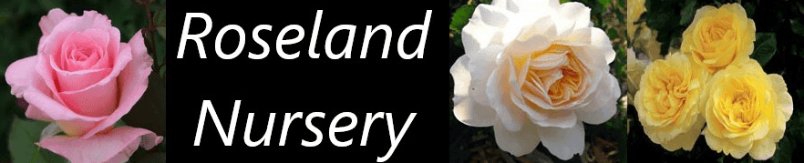 Roseland Nursery