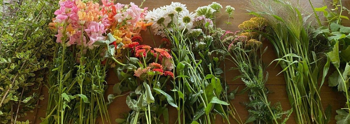 Rosenfield Flowers