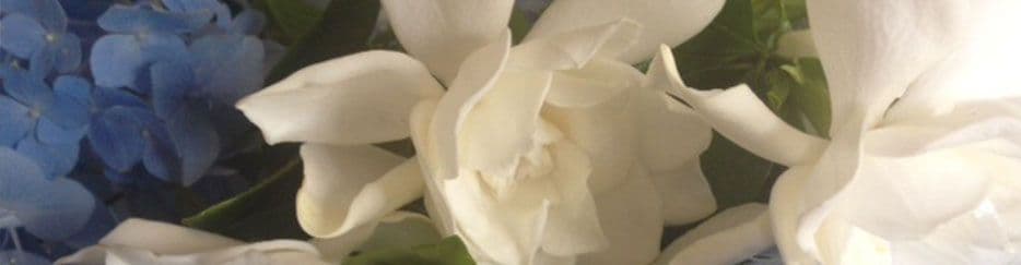 Rosewood Nursery LLC