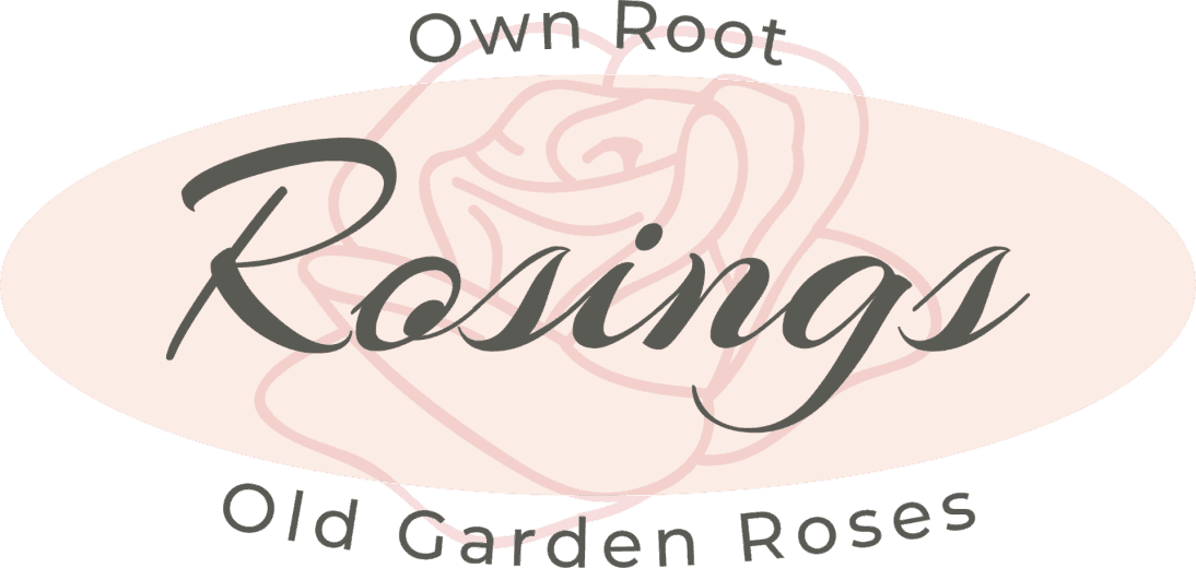 Rosings Nursery
