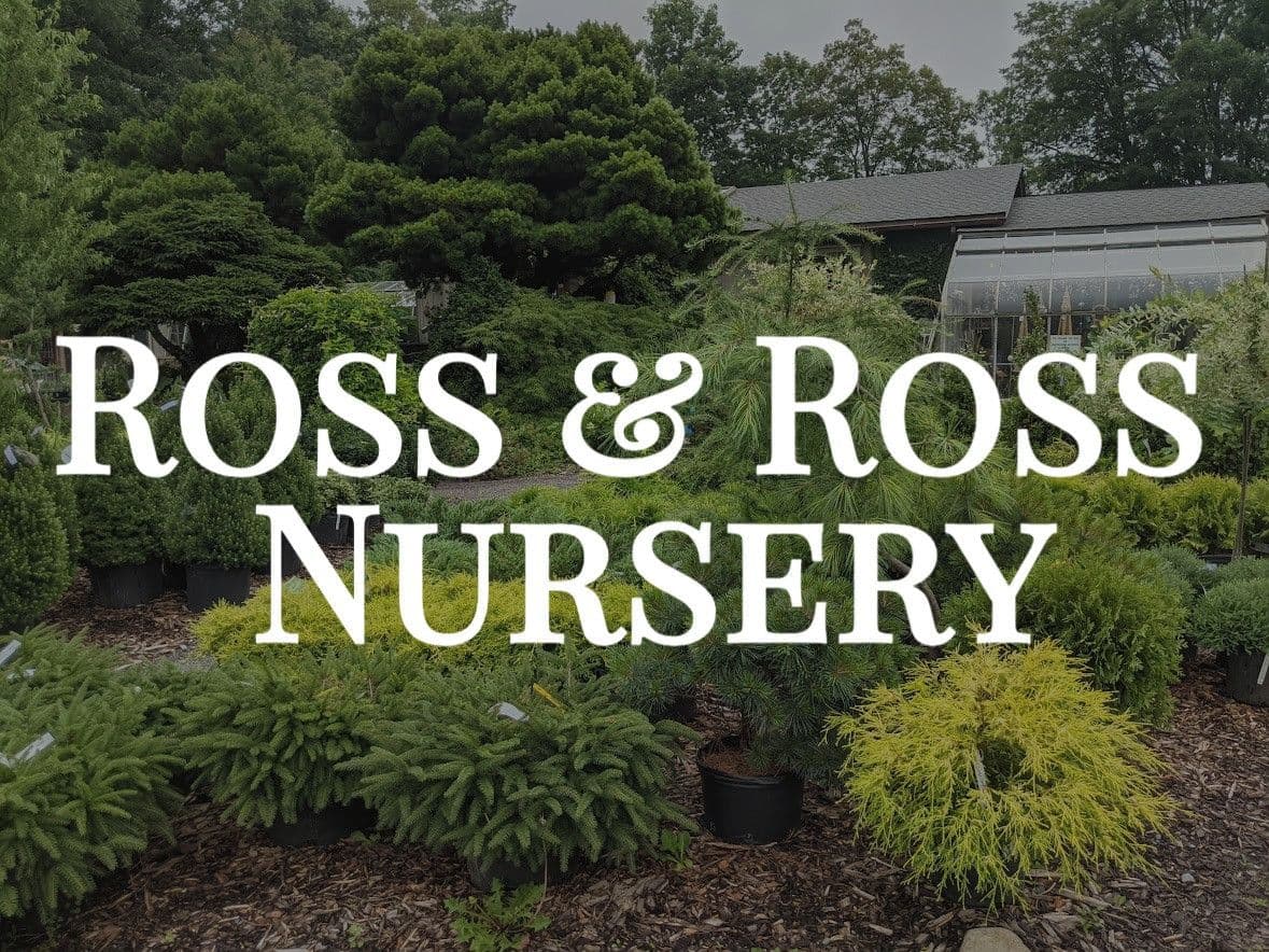 Ross and Ross Nursery