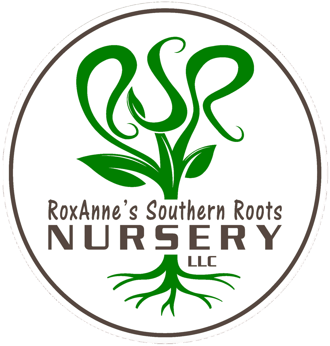 RoxAnne’s Southern Roots Nursery
