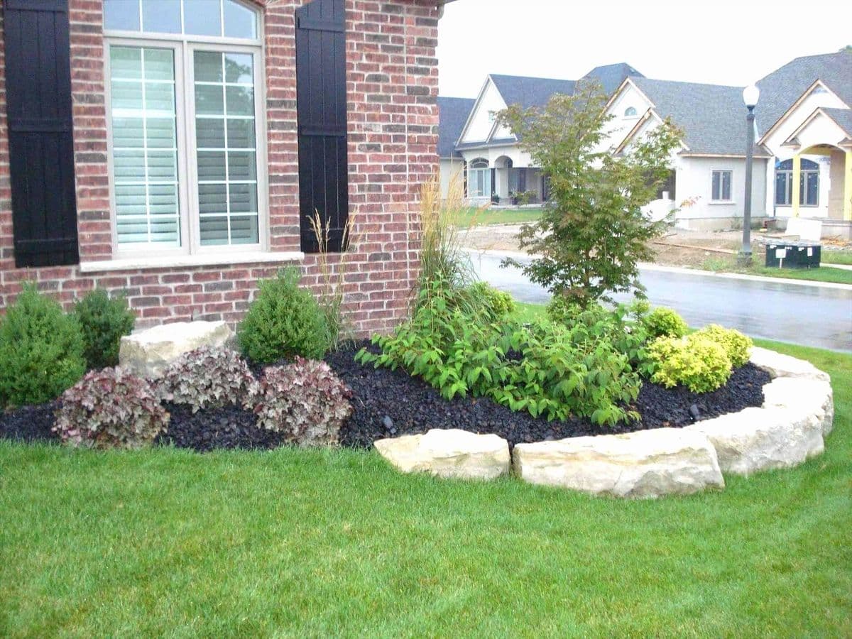 Roy's Palms Landscaping & Irrigation