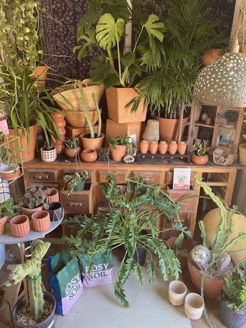 Rozet Landscape Design & Rozet Nursery