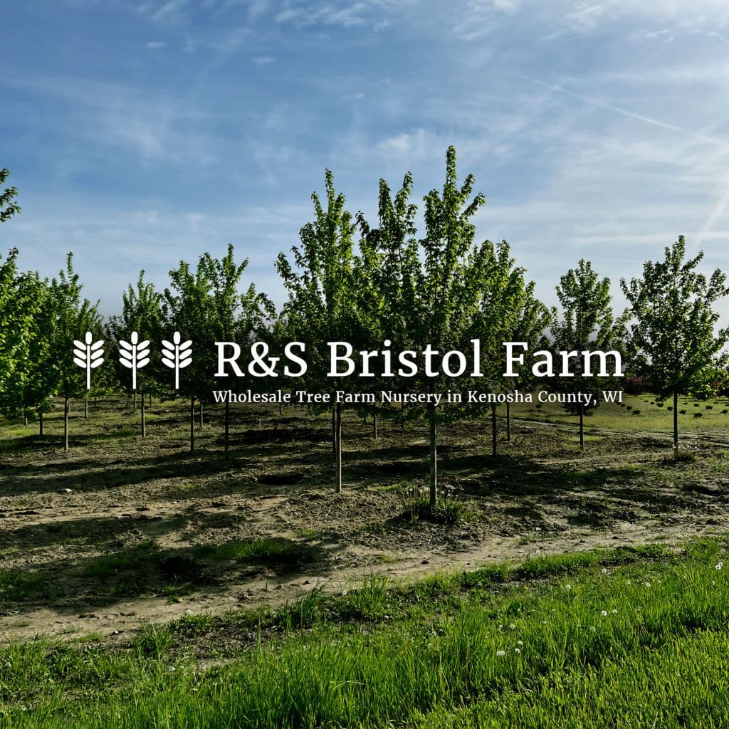 R&S Bristol Farm