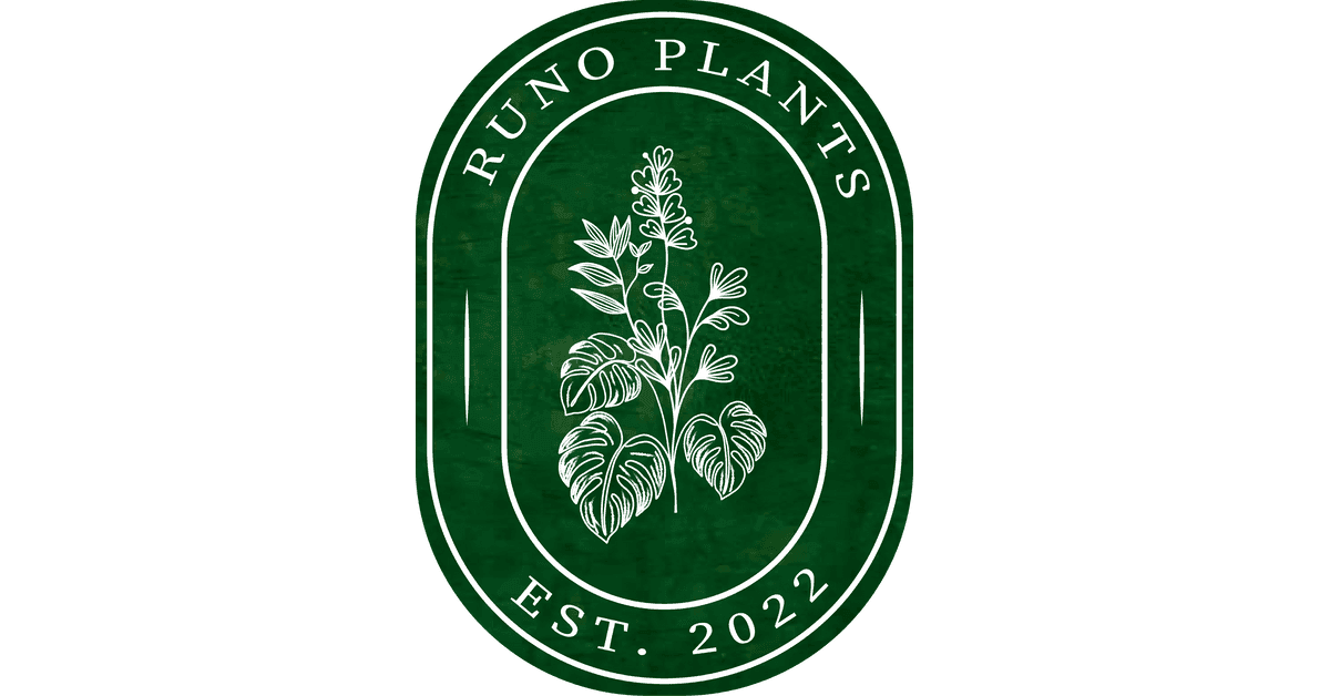 Runo Plants
