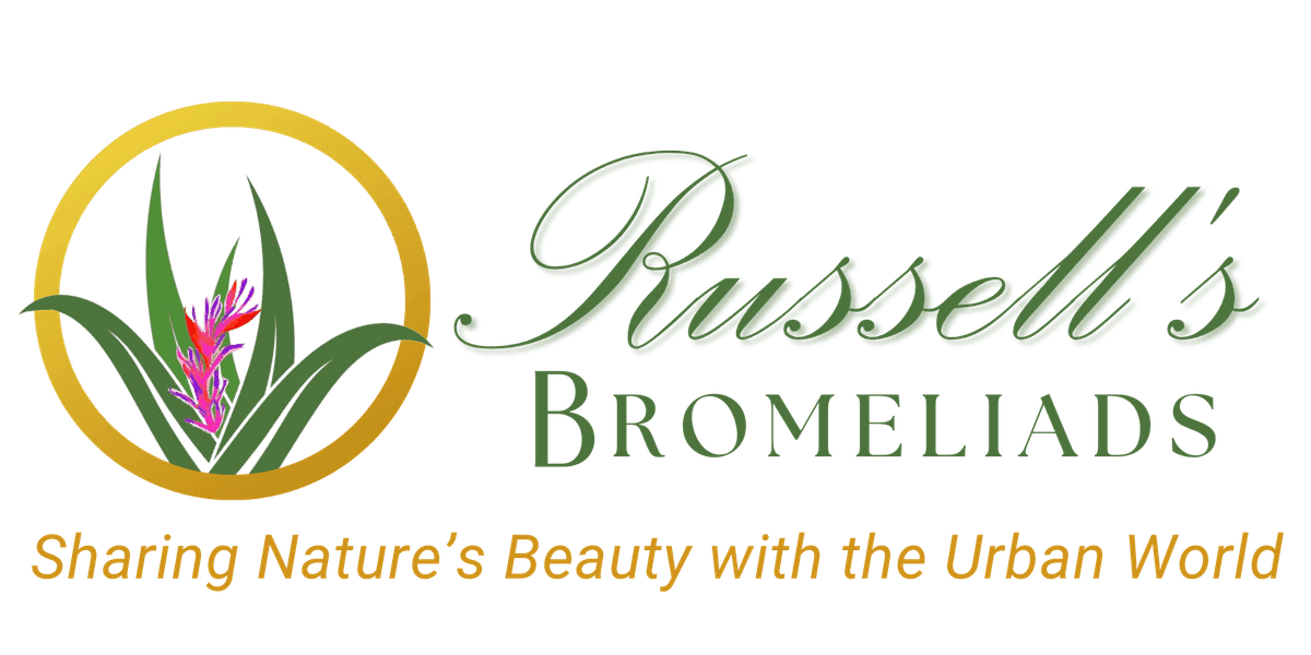 Russell's Bromeliads