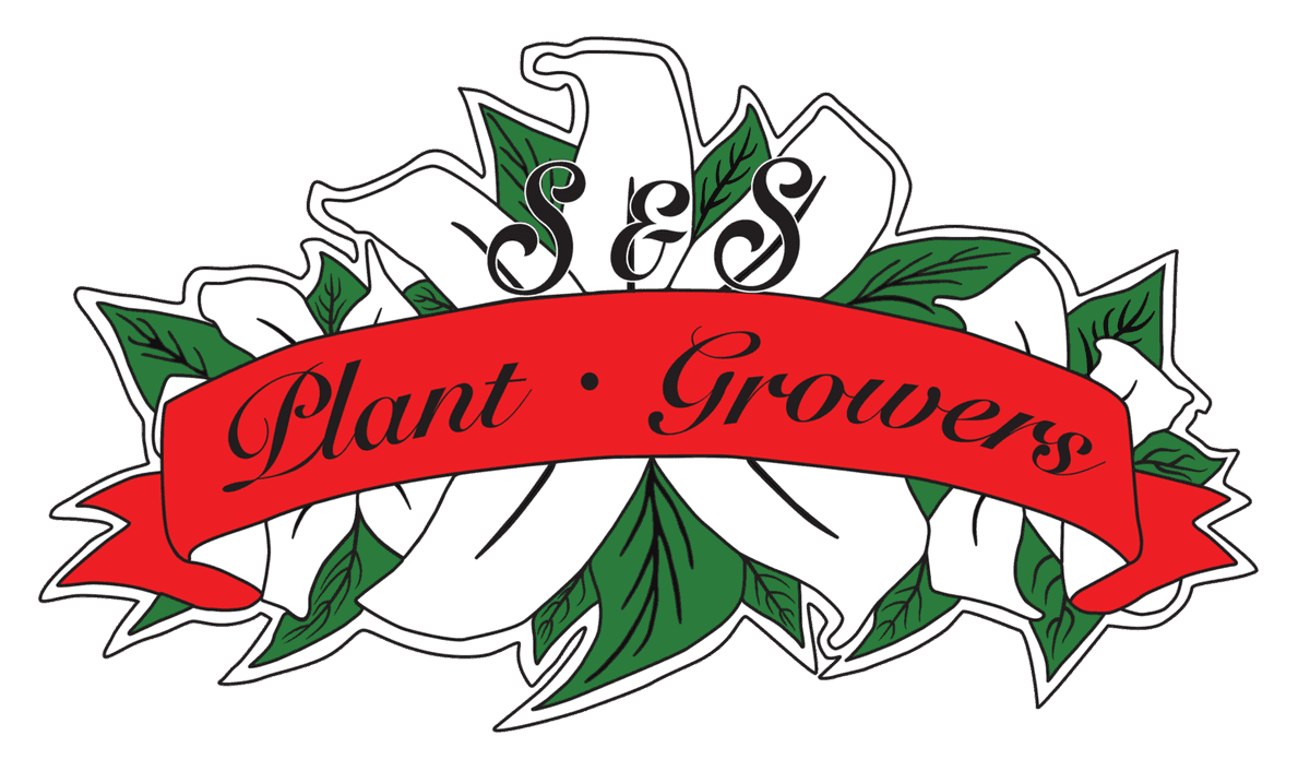 S & S Plant Growers