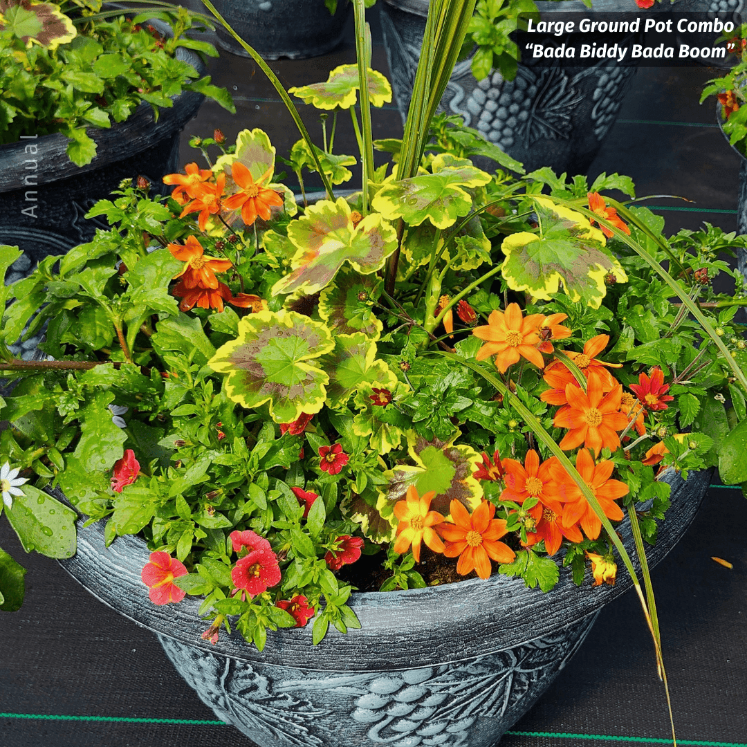 Sabo's Woodside Nursery Inc & Garden Center