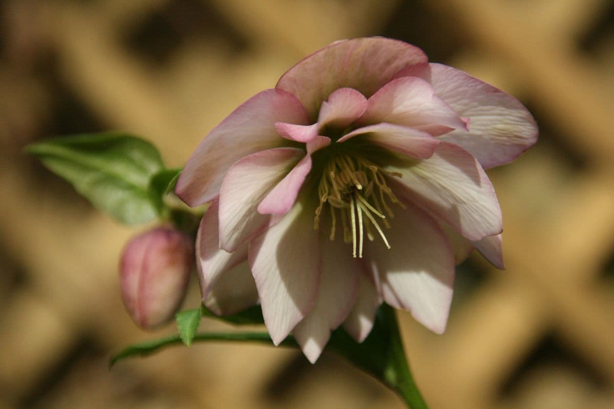 Sag Harbor Garden Center