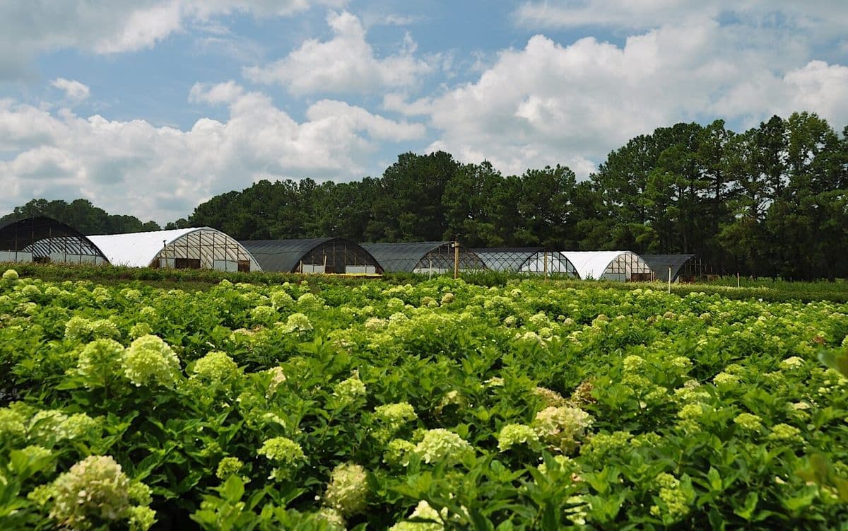 Sampson Nursery Inc
