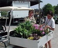 Sandys Plants