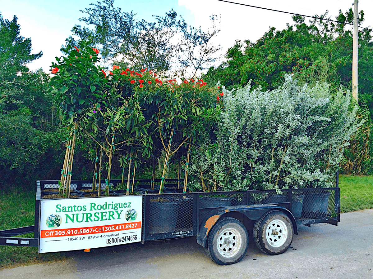 Santos Rodriguez Nursery, Inc.