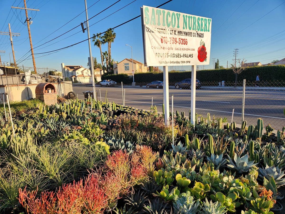 Saticoy Nursery