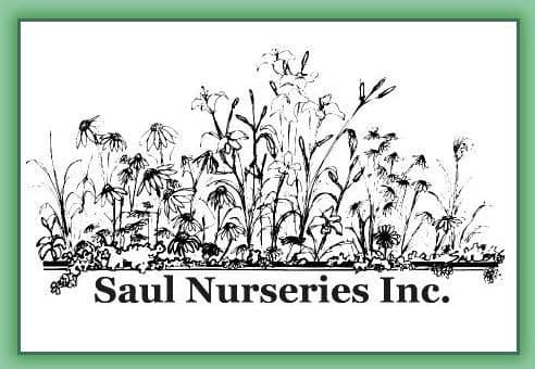 Saul Nurseries Inc.