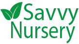 Savvy Nursery