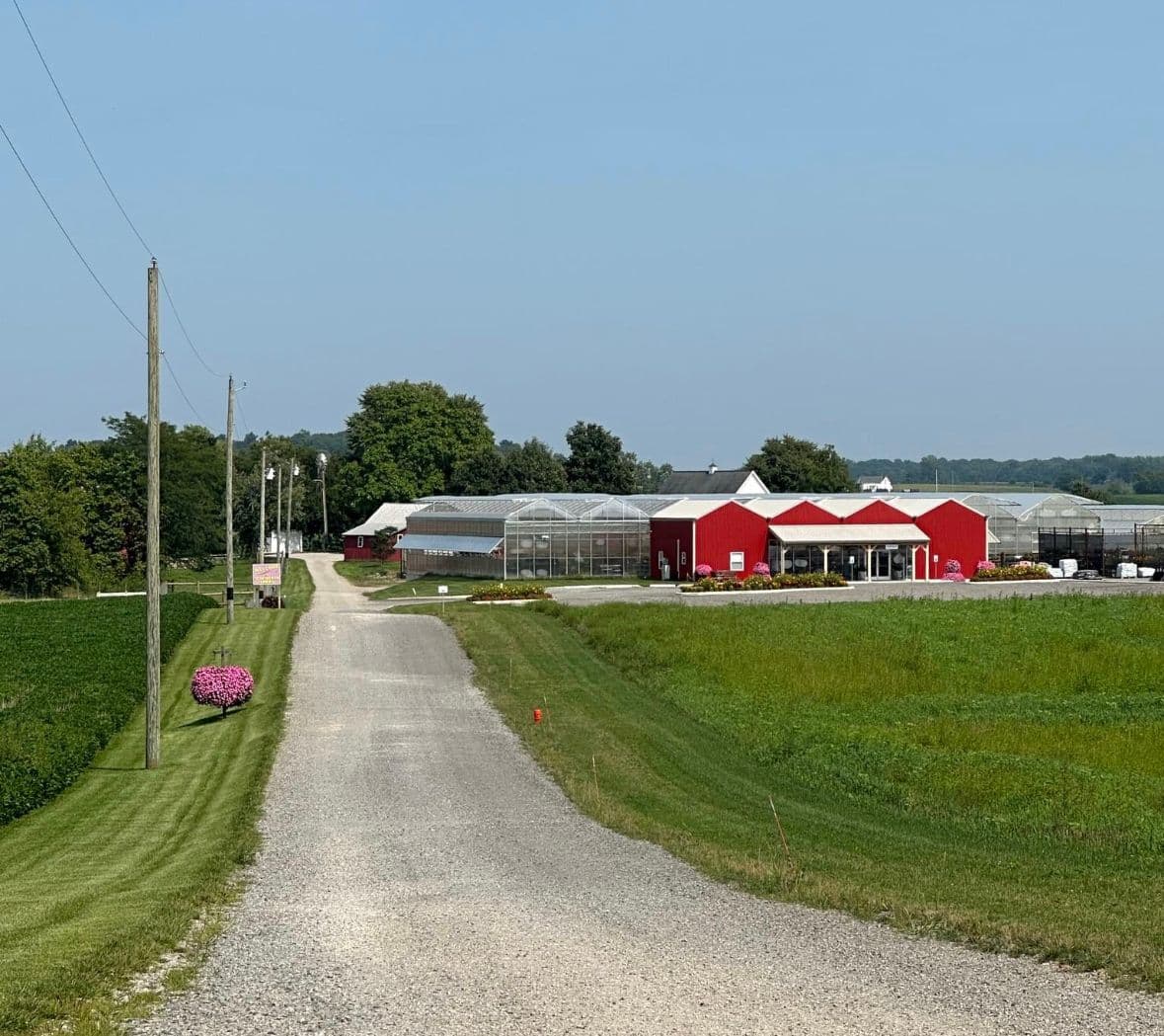 Scheiderer Farms Greenhouse