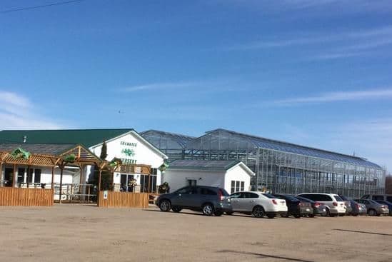 Schindigs Land Care