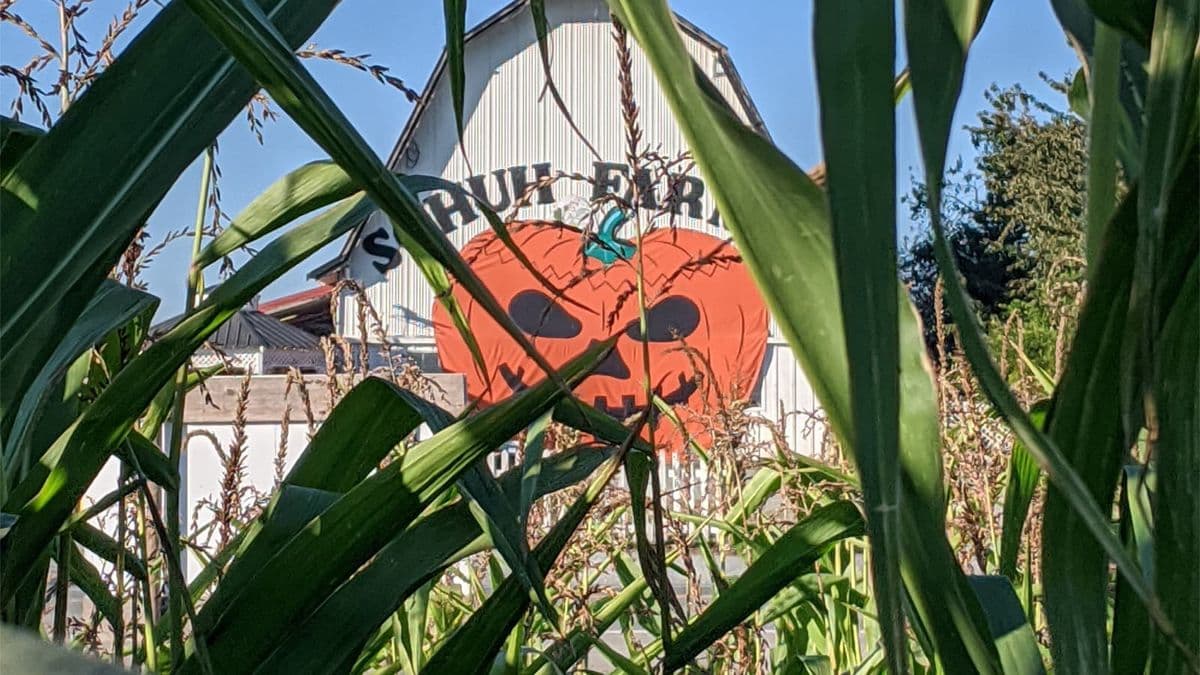 Schuh Farms