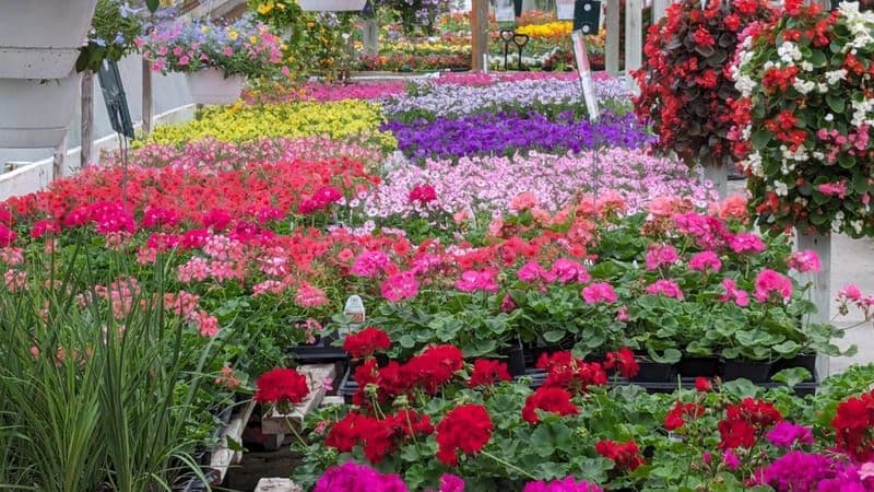 Schultz Garden Center