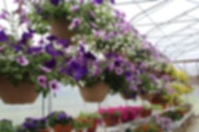 Schuyler Farms Garden Center