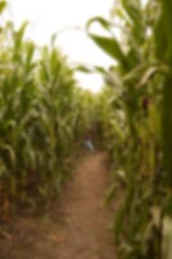 Schuyler Farms