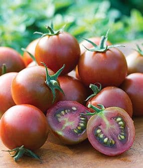 Schweikert Greenhouse