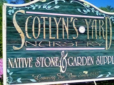 Scotlyn's Yard Nursery