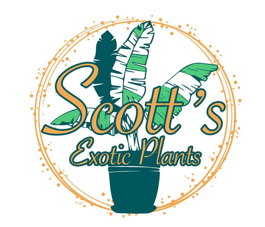 Scott's Exotic Plants
