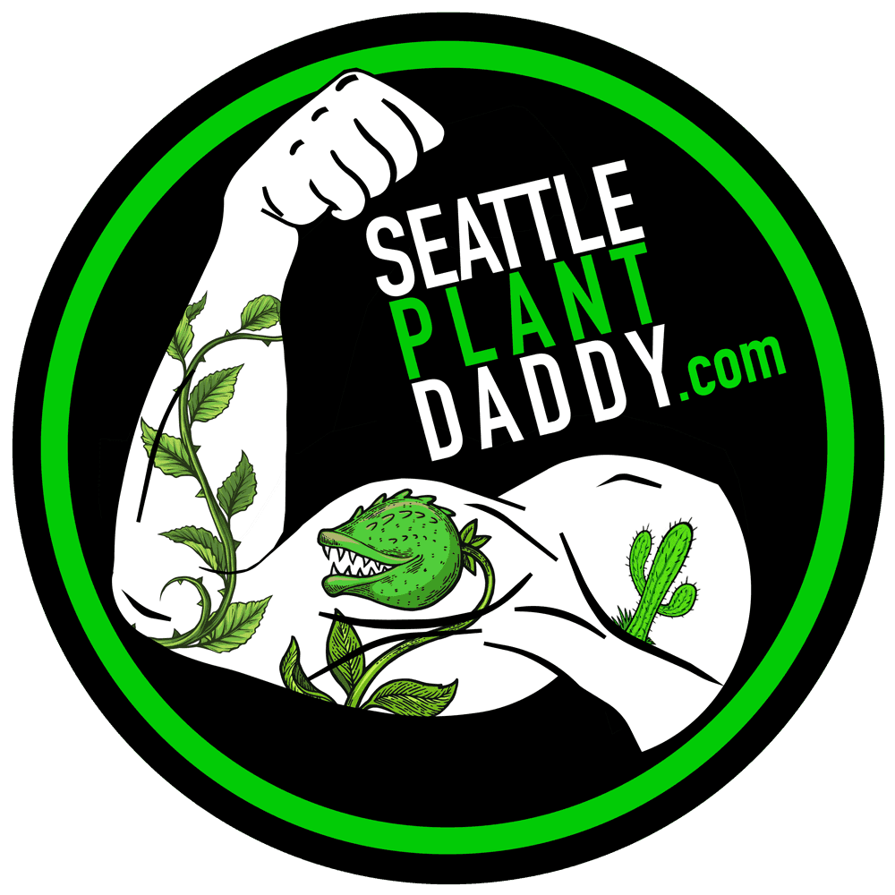 Seattle Plant Daddy