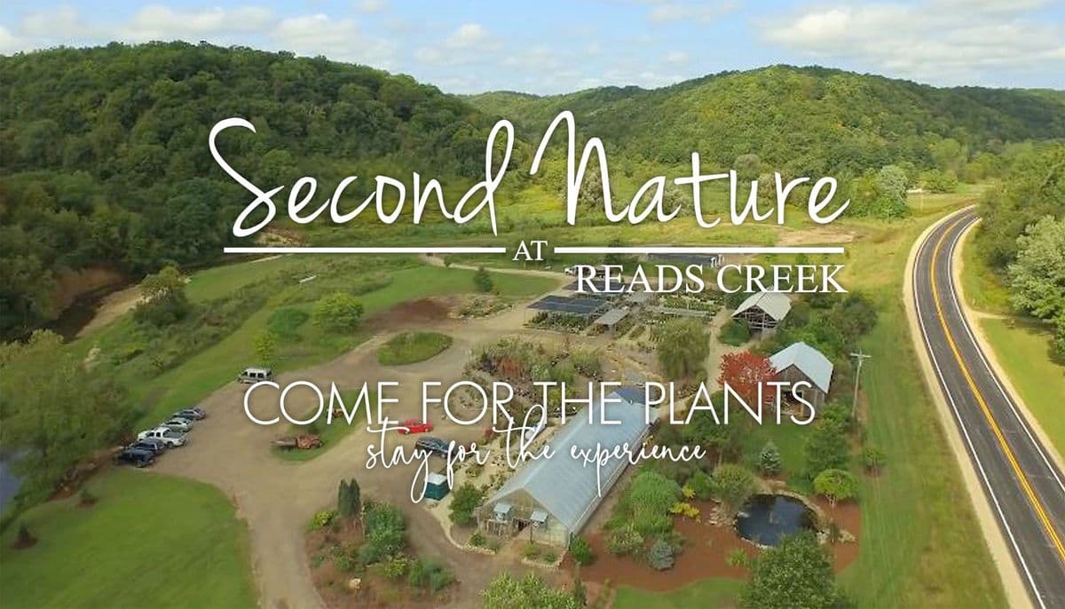 Second Nature at Reads Creek