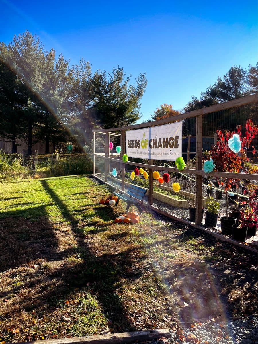 Seeds of Change - Howard EcoWorks