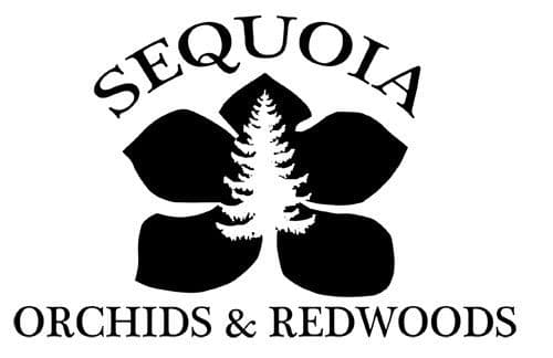 Sequoia Orchids