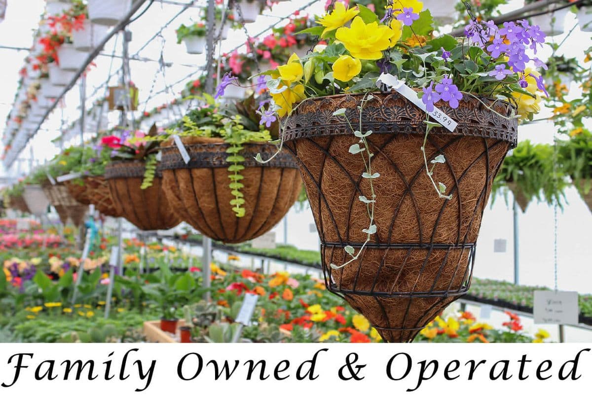 Serenity Ridge Greenhouse