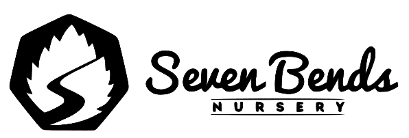 Seven Bends Student Center