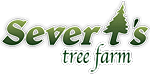 Severts Tree Farm