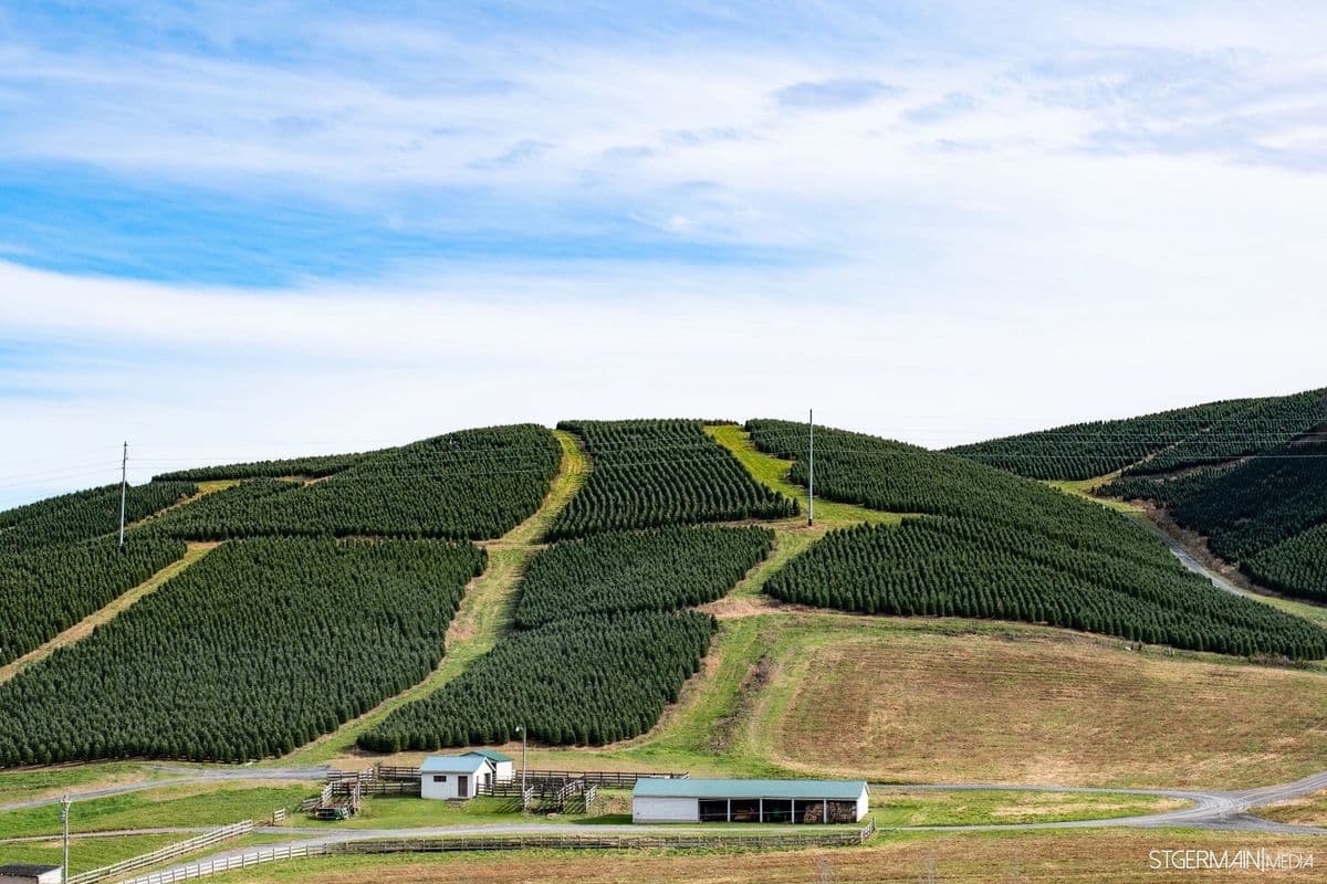 Sexton Farms